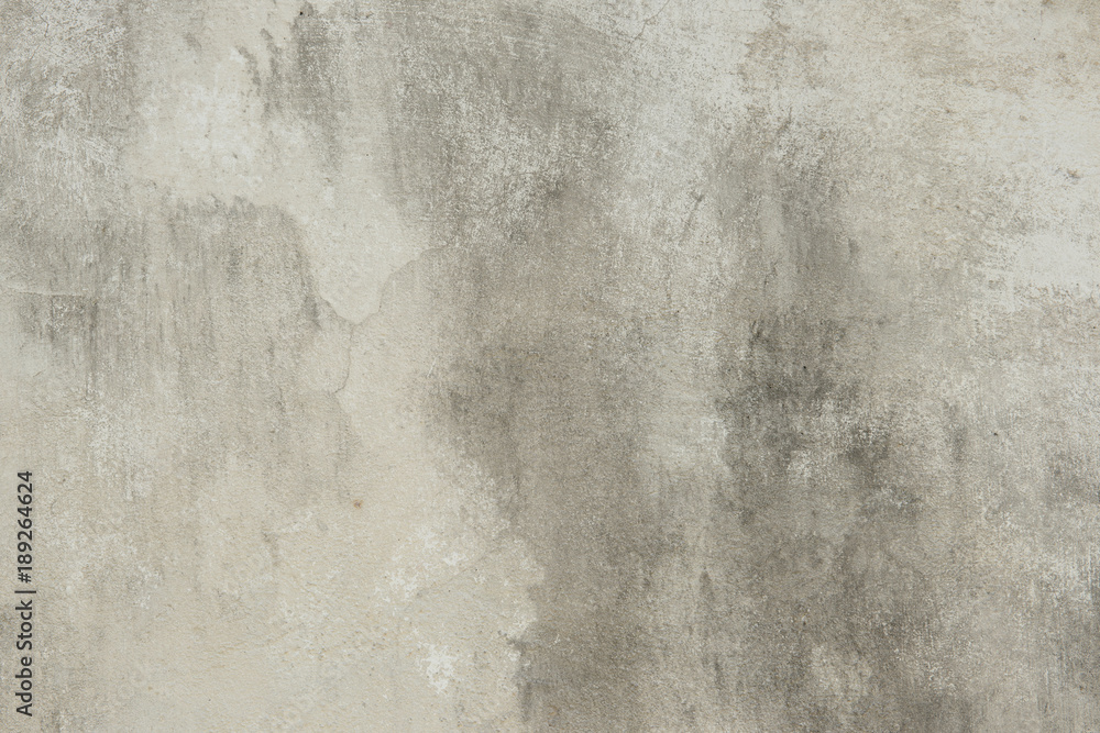 Fototapeta premium Smooth Concrete Wall Surface for Backgrounds