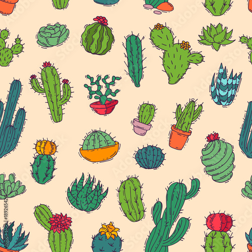 Cactus vector home nature handmade illustration of green cactus in bow plant cactaceous tree with flower different sorts and design home plant seamless pattern background