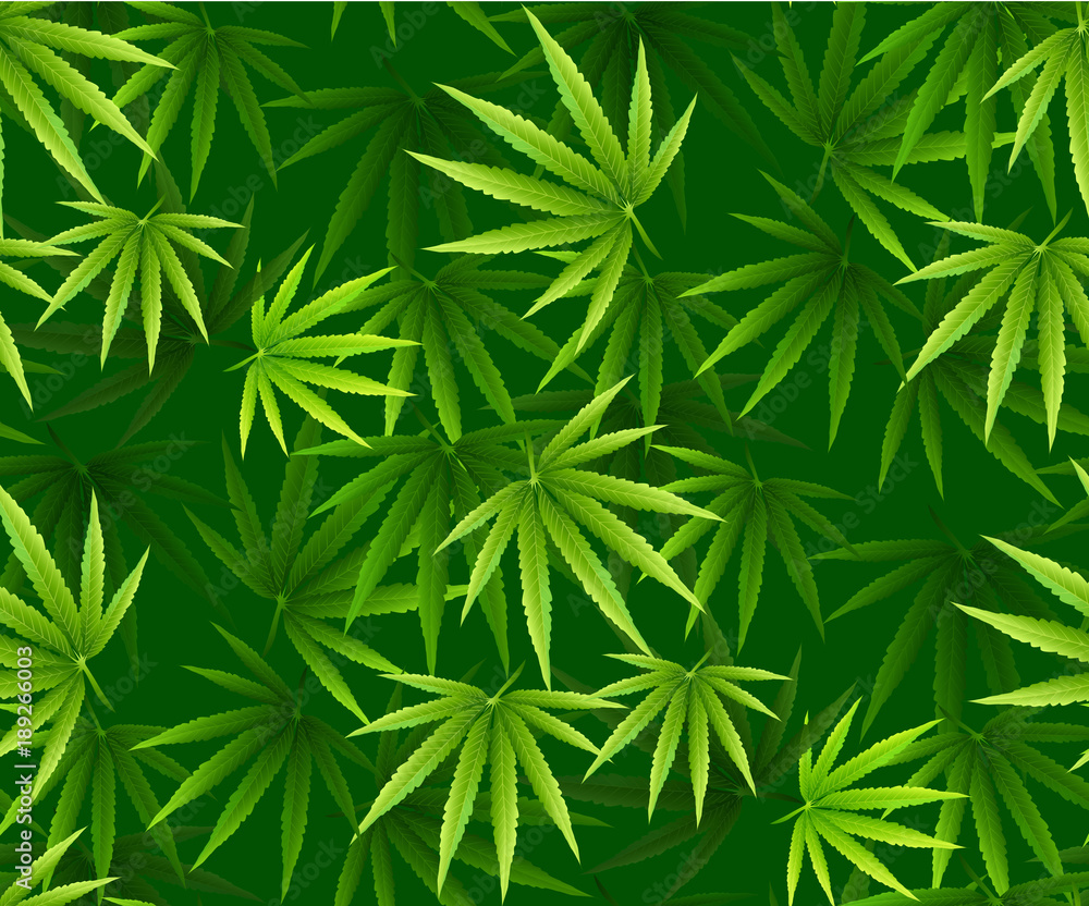 Marijuana leaves seamless vector pattern.