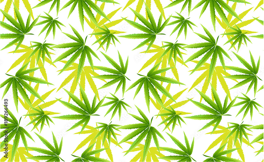 Obraz premium Marijuana leaves seamless vector pattern.
