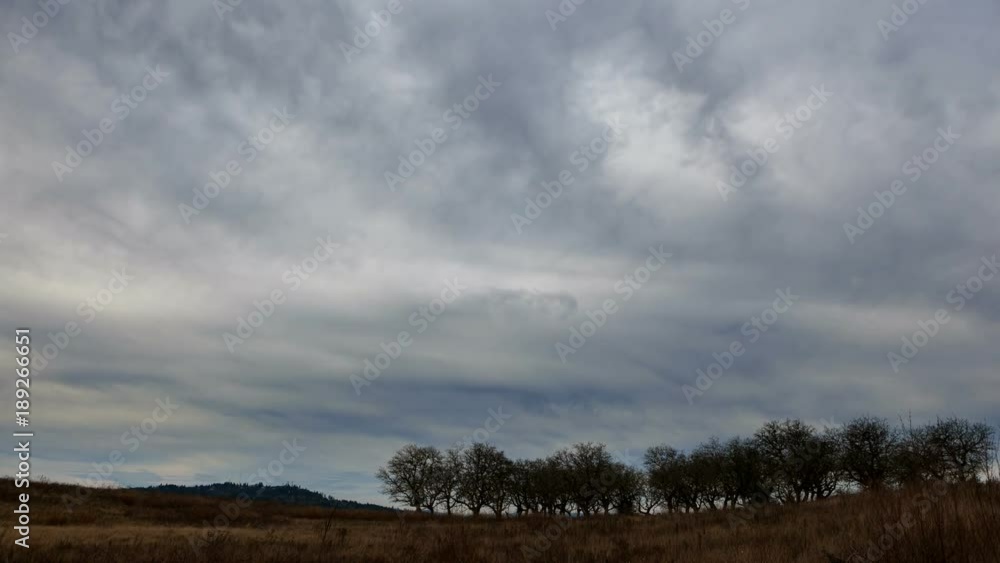 Ultra high definition 4k time lapse movie of moving stormy clouds over expansive meadowland with trees and grass in Powell Butte Nature Park in Portland Oregon one winter day 3840x2160 UHD Ultra high definition 4k time lapse movie of moving stormy clouds over expansive meadowland with trees and grass in Powell Butte Nature Park in Portland Oregon one winter day 3840x2160 UHD