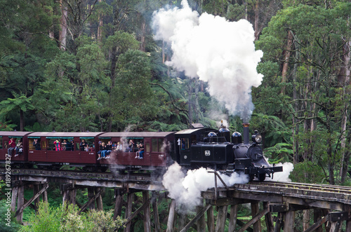 Принти на полотні Puffing Billy steam train in the Dandenong Ranges near Melbourne.