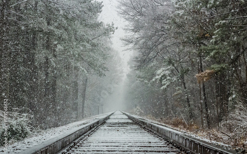 Snowy tracks photo