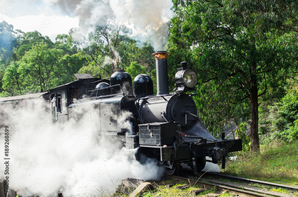 Obraz premium Pociąg parowy Puffing Billy w pasmach Dandenong niedaleko Melbourne.