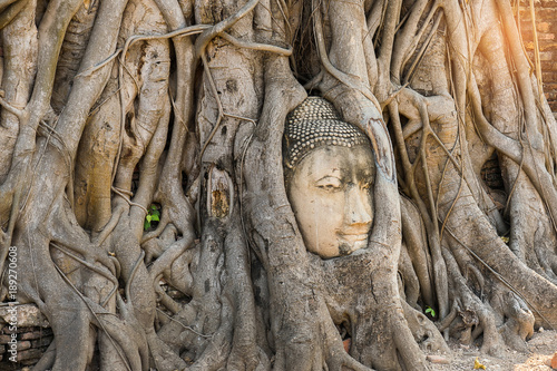 Famous Buddha Head with Banyan Tree Root at Buddhist temple Wat Mahathat Temple in Ayuthaya Historical Park, UNESCO world heritage site, Thailand.