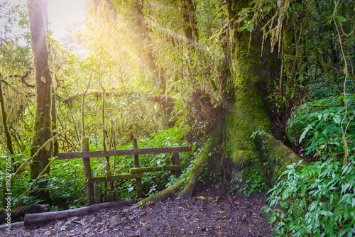 Ang Ka Luang Nature Trail