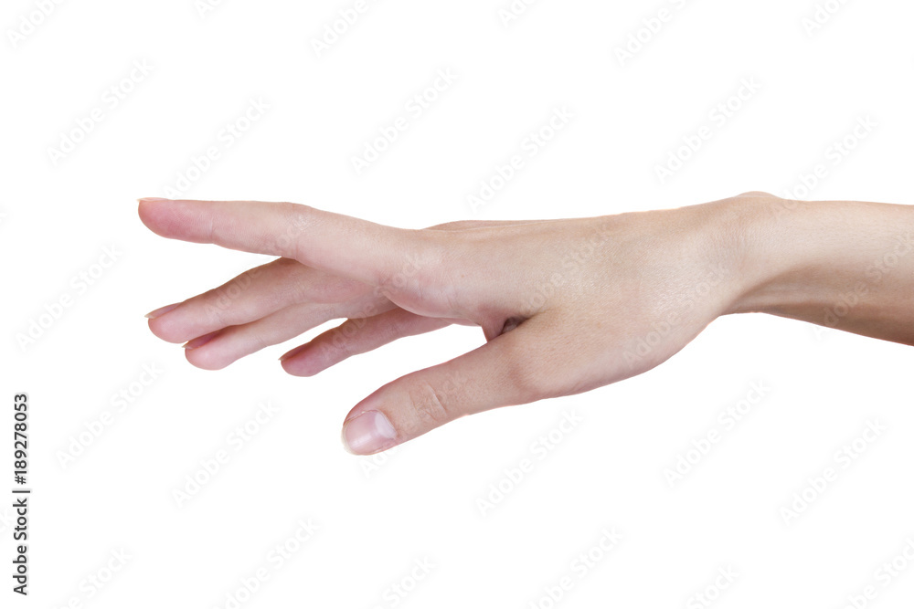 Hand of a young woman Hand of a young woman