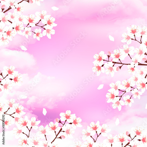 桜 花 風景 背景
