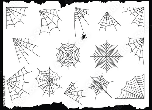 Cobweb vector set