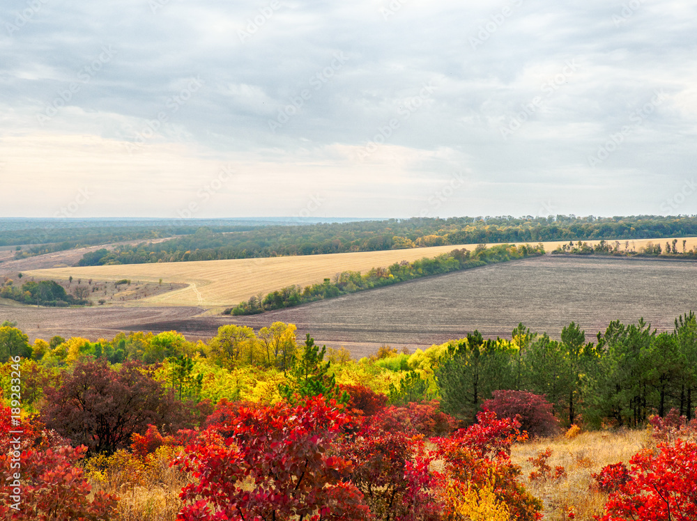 Colorful autumn landscape with views of the skyline and fields . Nature, rural view of pretty farmland and plants in the beautiful surroundings.