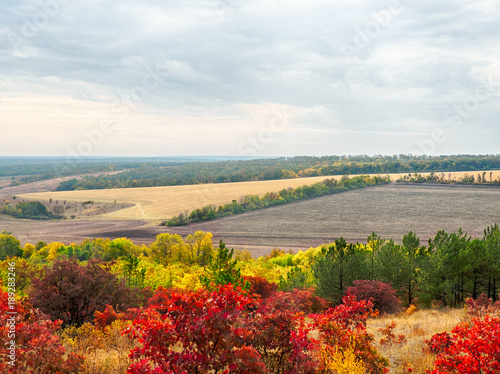 Colorful autumn landscape with views of the skyline and fields . Nature  rural view of pretty farmland and plants in the beautiful surroundings.