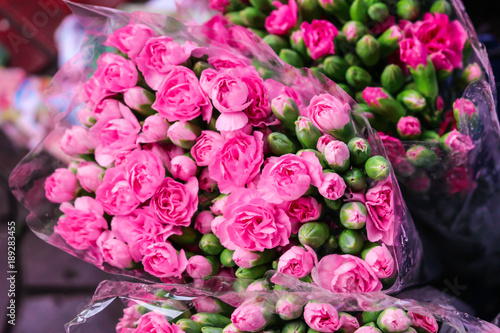 Pink Carnation on the Market