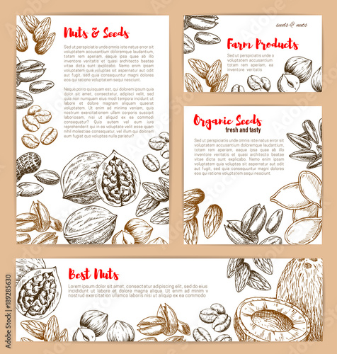 Vector sketch posters of nuts and fruit seeds