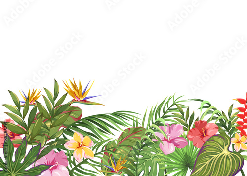 White background with tropical plants and flowers