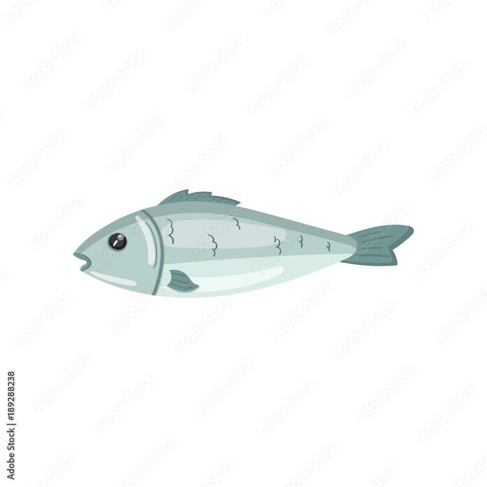 Fresh sea fish, seafood cartoon vector Illustration