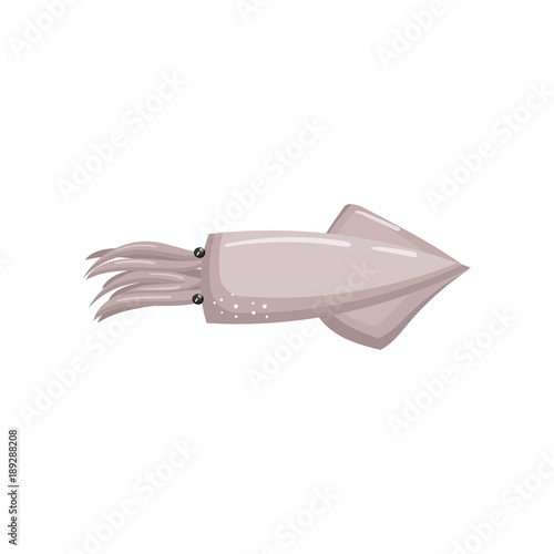 Fresh squid seafood cartoon vector Illustration