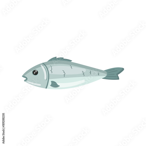 Fresh sea fish, seafood cartoon vector Illustration