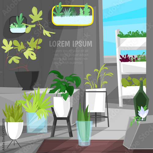 Plants in flowerpots vector potted houseplants indoor botanic cactuses aloe for house interior decoration with floral collection of botanical garden illustration isolated on white background