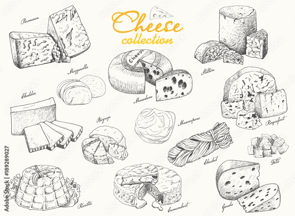 Obraz premium A collection of various cheeses