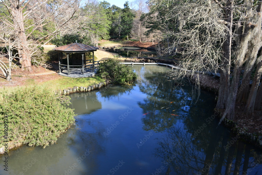 A Japanese water garden in Alabama in winter.

