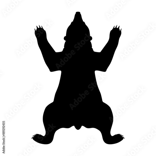 Εκτύπωση καμβά Bear skin, shade picture