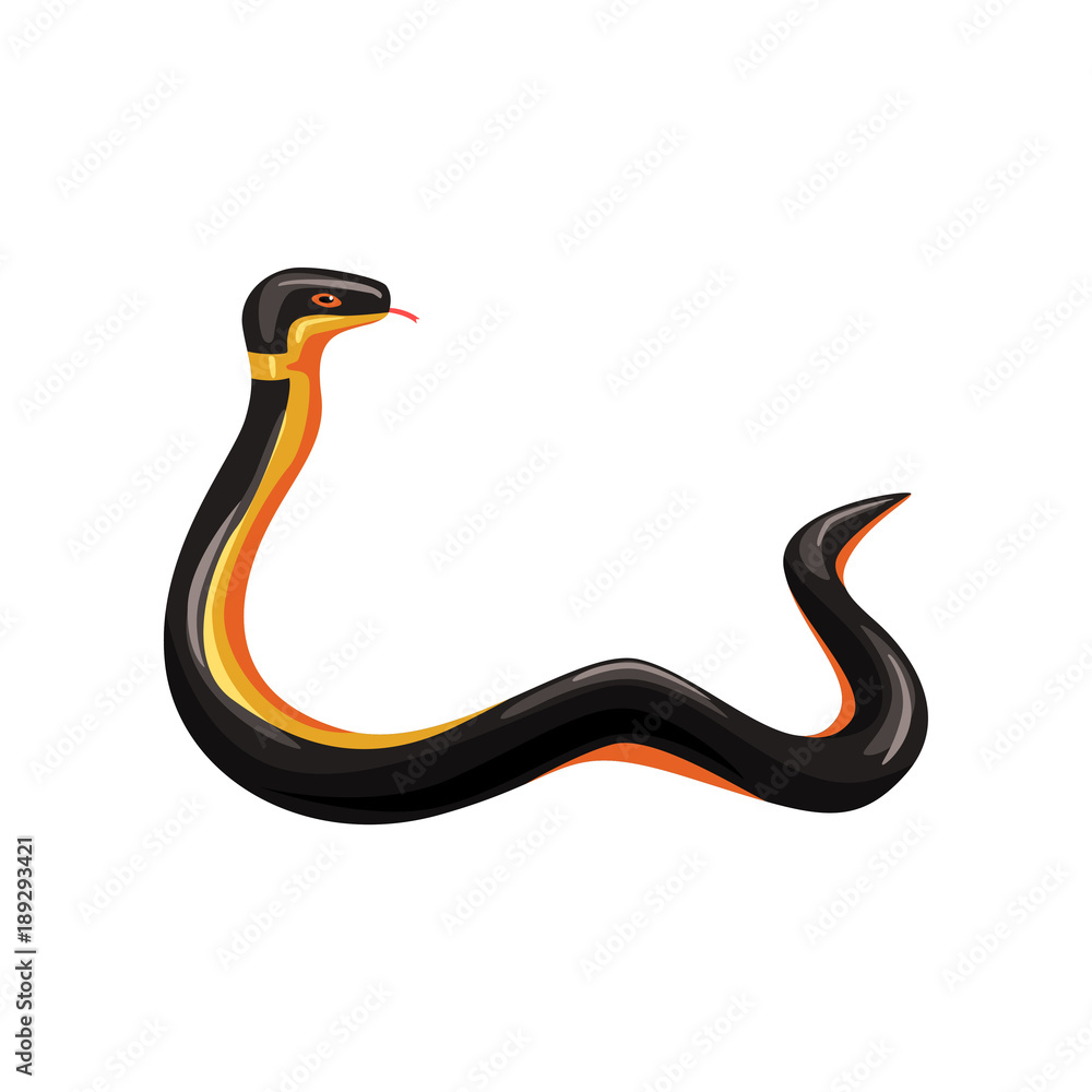 Fototapeta premium Cartoon tropical snake with tongue out. Harmless serpent with black and yellow scales. Exotic animal. Wildlife concept. Cartoon flat vector design