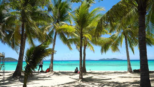 Tropical beach on the island Malcapuya, Palawan, Philippines. Beautiful tropical island with sand beach, palm trees. Tropical landscape: beach with palm trees. Seascape: Ocean, sky, sea. Travel