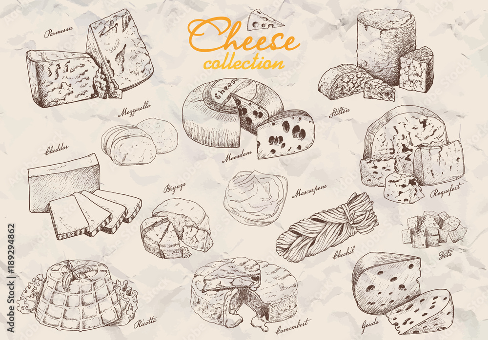 A collection of various cheeses A collection of various cheeses