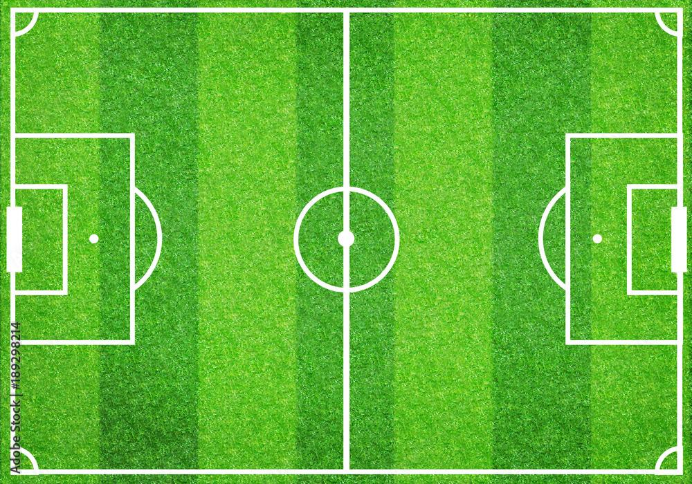 Fototapeta premium Soccer football grass field