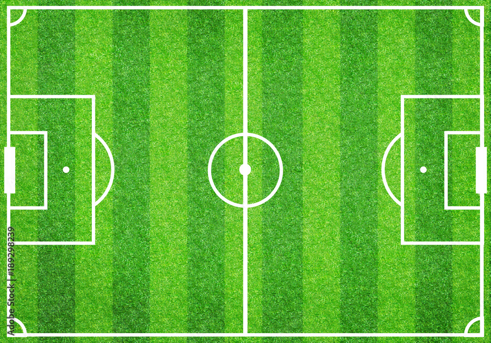 Fototapeta premium Soccer football grass field
