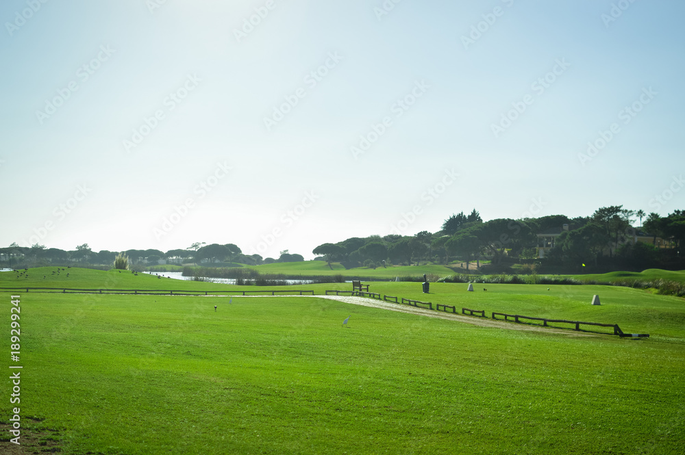 Golf field on sunny outdoors luxury lifestyle background