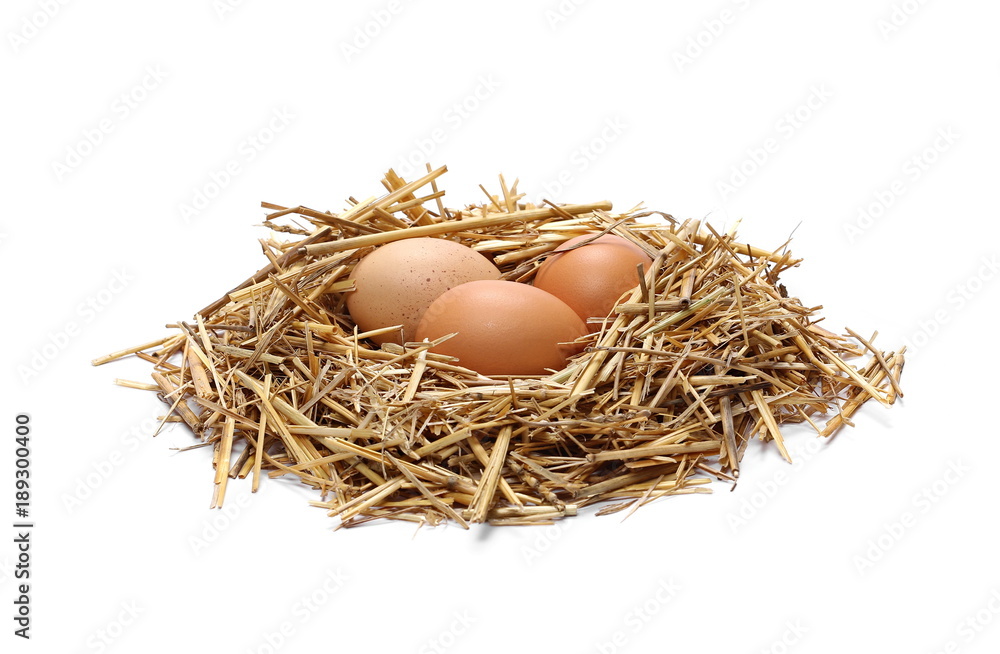 Eggs in straw nest isolated on white background Eggs in straw nest isolated on white background