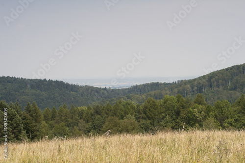 mountains in Poland - Bieszczady 