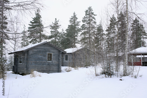 Chalets in winter forest with snow, a horizontal picture © Popova Olga