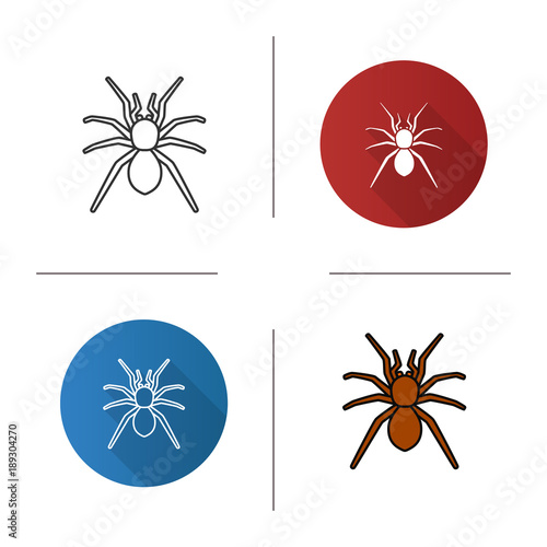 Spider icon