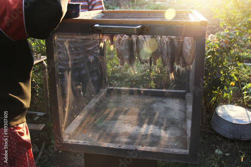 fish roach, ramming is dried after pickling and soaking. Special box for protection against flies insects. Salted and soaked fish hung on metal hooks inmesh aerated box. Dried jerky vobla ramming carp photo