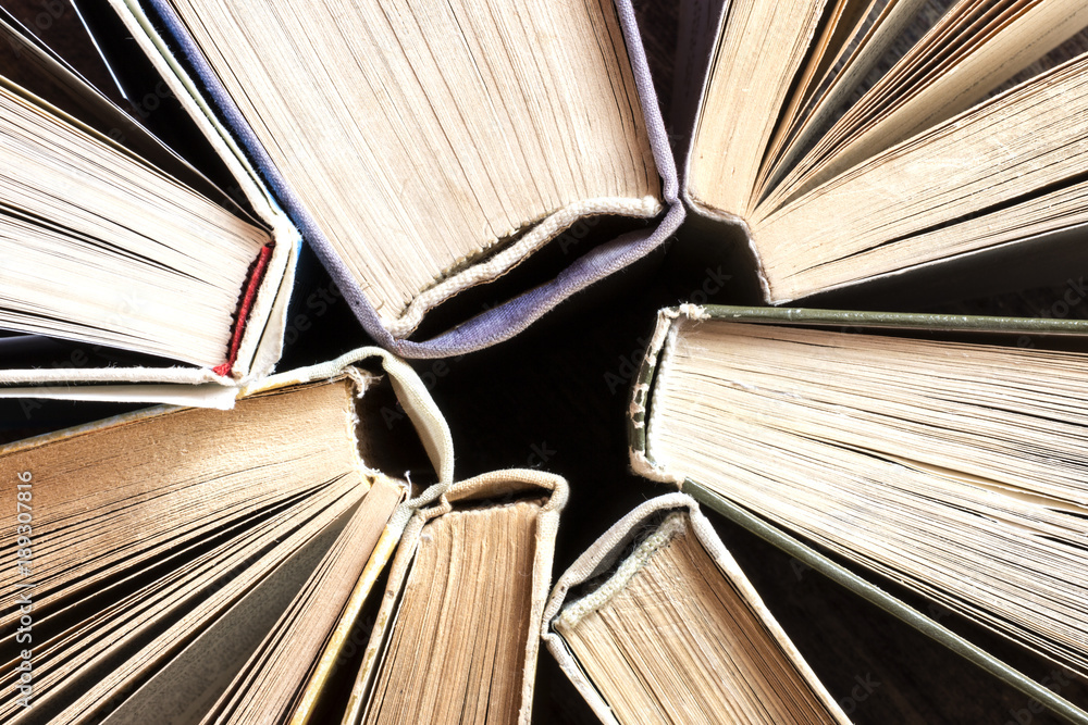 Obraz premium Old Books Background 