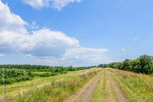 Ground road on green landscape, perspective