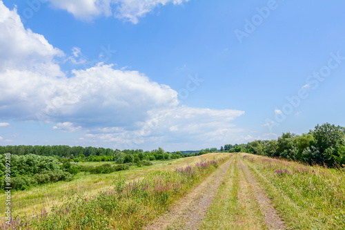 Ground road on green landscape, perspective © Roman_23203