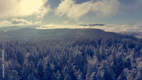 Aerial view of winter forest.