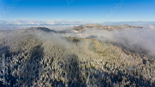 Aerial view of winter forest.