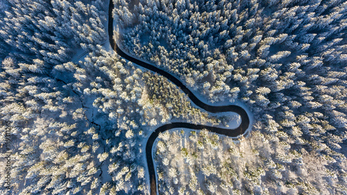 Winding road through a winter forest.