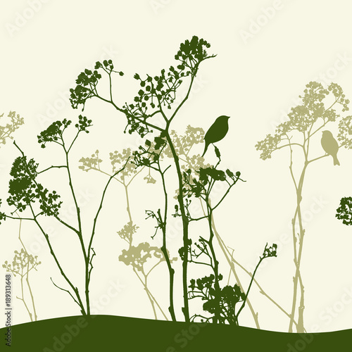 Silhouettes of wildflowers and birds