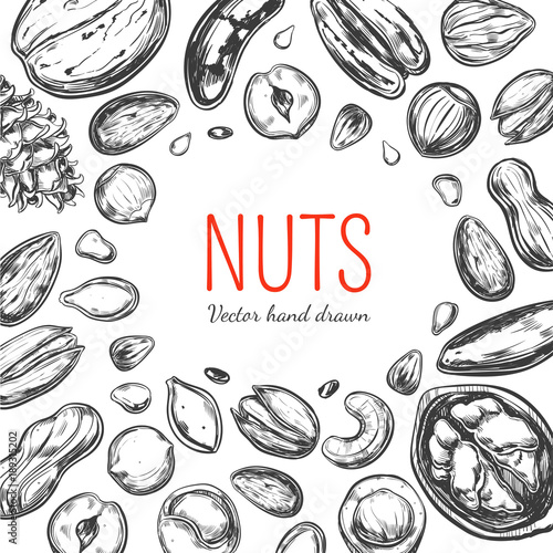 Nuts and seeds frame. Vector Hand drawn objects . Isolated on white. Modern brushpen Calligraphy. Design Template