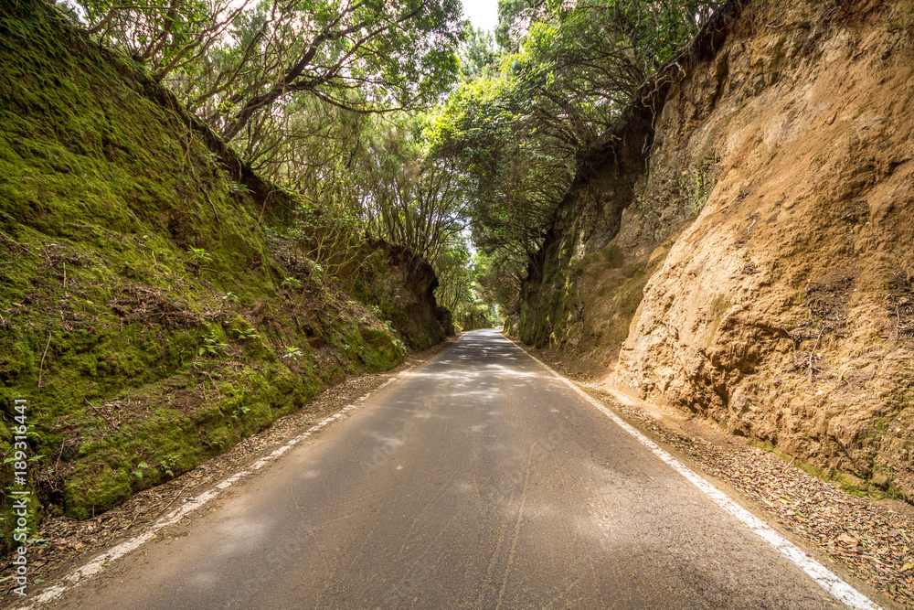 Landstraße im Anaga-Gebirge auf der kanarischen Insel Teneriffa