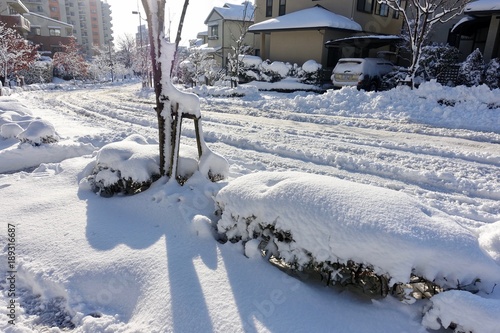 Wallpaper Mural 冬の朝 Torontodigital.ca