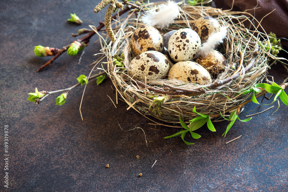 Obraz premium Easter Eggs in Nest