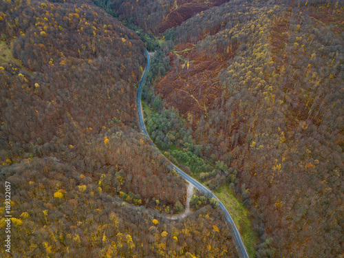 Aerial drone view of autumn colors flying over a forest in Brasov, Romania