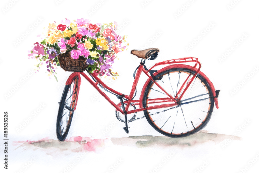 Fototapeta Czerwony rower retro z kolorowymi kwiatami na białym tle, akwarela na papierze