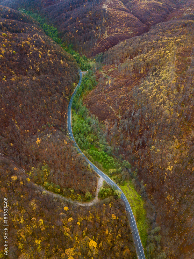 Aerial drone view of autumn colors flying over a forest in Brasov, Romania Aerial drone view of autumn colors flying over a forest in Brasov, Romania